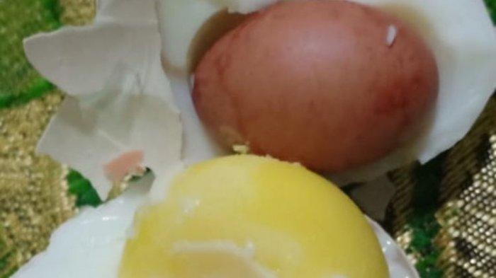 Bocah 9 Tahun Temukan Telur Berisi Telur, tak Jadi Dimakan Dijadikan Koleksi Disimpan