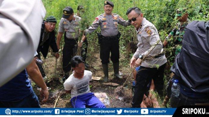 Miliki 1 Kilogram Ganja, 2 Sekawan Asal Lahat dan Palembang Divonis 10 Tahun Penjara dan Rp 800 Juta