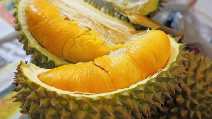 Bolehkah Ibu Hamil Makan Durian? Ini Jawaban dari Dokter Spesialis Kandungan dan Kebidanan