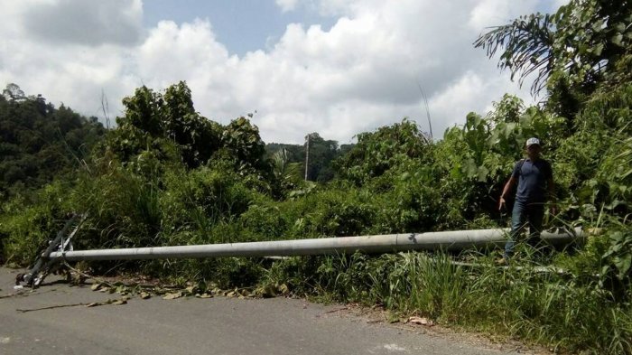 Kami Takut Melintas Takut Tersengat