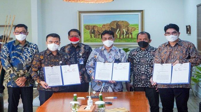 Sinergi BUMN: PLN, PTBA, & KAI Amankan Pasokan Batu Bara untuk Ketahanan Ketenagalistrikan Nasional
