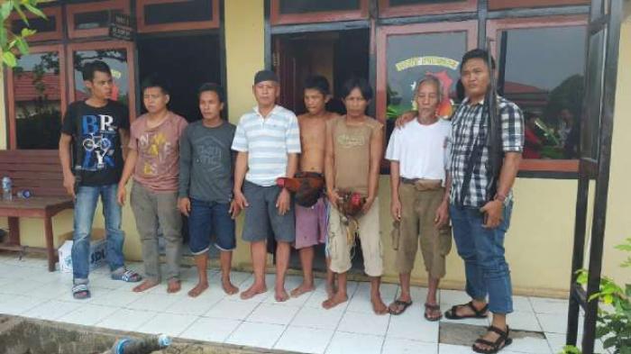 Belasan Penyabung Ayam Kocar-kacir Melarikan Diri