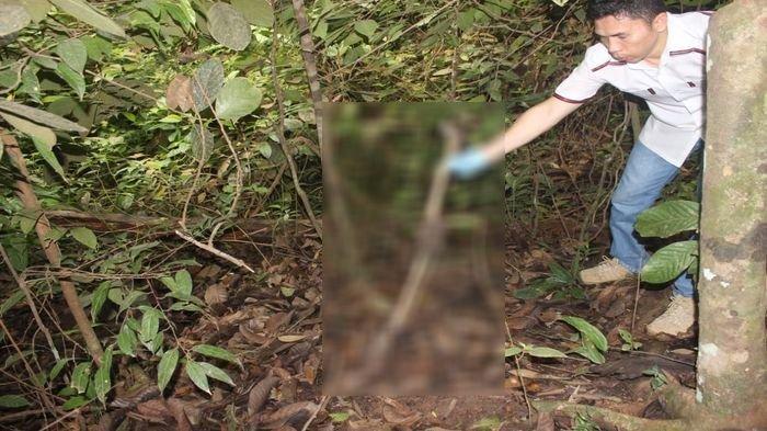 Cerita Keluarga Soal Jasad Sofyan Tinggal Tulang Belulang, Kapolda : Menyerah atau Kami Sikat