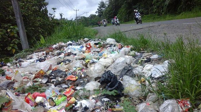 Tumpukan Sampah Mirip TPA di Pinggir Jalinteng Sumatera, Tebarkan Aroma Tidak Sedap