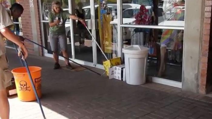 VIDEO: Black Mamba Sepanjang 2 Meter, Ular Paling Beracun di Dunia Berkeliaran di Mall