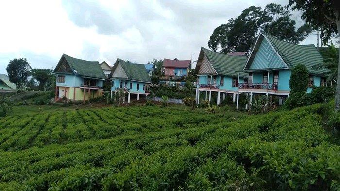 Daftar Villa di Kota Pagar Alam yang Memiliki View Bagus Berikut Contact Person Pengelolanya