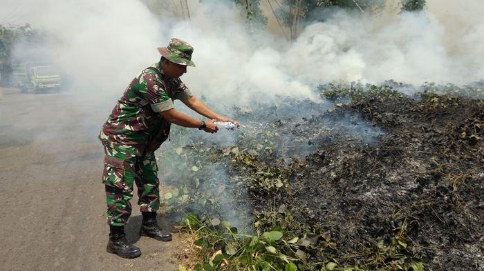 Viral Anggota Kodim 0406 Padamkan Api Gunakan Air Mineral, Dua Perusahaan Diduga Bakar Lahan