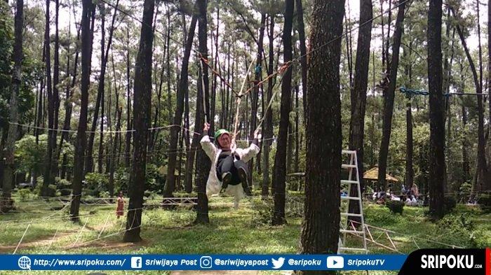 3 Wahana Terbaru di TWA Punti Kayu Palembang, Bersepeda di Atas Pohon Pinus hingga Perang-perangan