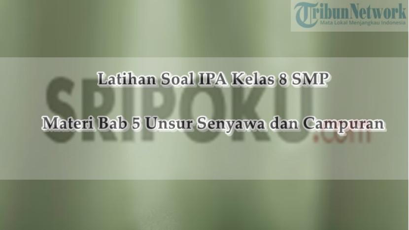 Tribun