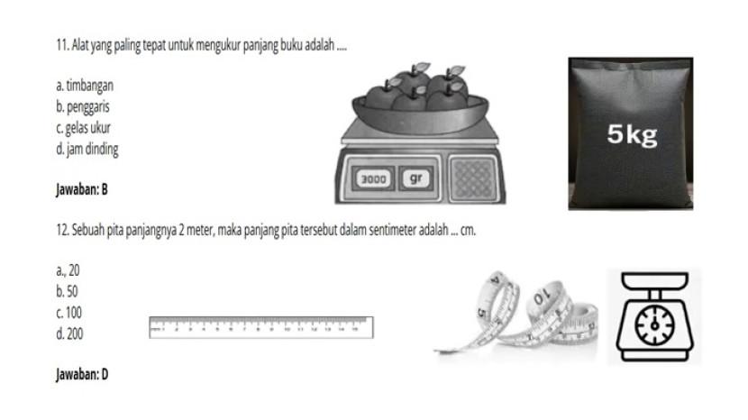Tribun