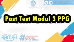 Anda-Ingin-Membantu-Farel-Menyadari-Pentingnya-Mendengarkan-dan-Menghargai-Pendapat-Teman-Modul-3.jpg