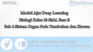 Bab-4-Sistem-Organ-Pada-Tumbuhan-dan-Hewan.jpg