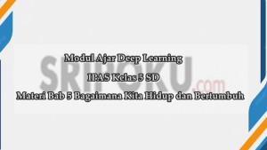 Bab-5-Bagaimana-Kita-Hidup-dan-Bertumbuh.jpg