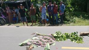 Bocah-perempuan-Tewas-Dilindas-Truk.jpg