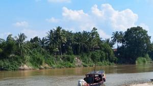 Buaya-muncul-di-oi.jpg