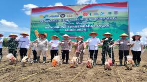 Bulog-Sumsel-Babel-serap-jagung.jpg