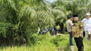Bursah-Zarnubi-Tinjau-Sawah.jpg
