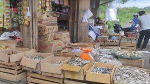 Harga-telur-ayam-di-Kabupaten-Empat-Lawang-Selasa-2462025.jpg