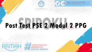 Jawaban-Post-Test-PSE-3-Modul-2-PPG-Tahun-2025-Nomor-1-Bagaimana-Strategi-yang-Akan-Anda-Terapkan.jpg