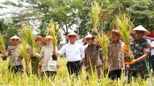Kapolda-Sumsel-Hadiri-Gebyar-Pembenihan-Tanaman-Pangan-Nasional-ke-X-Tahun-2025.jpg