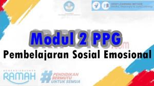 Kemampuan-Merasakan-Apa-yang-Orang-Lain-Rasakan-Disebut-Modul-2-PPG-Pembelajaran-Sosial-Emosional.jpg