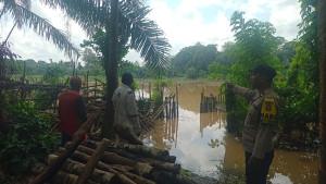 LAHAN-JAGUNG-TERENDAM.jpg