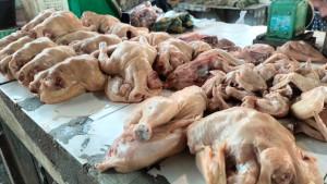 Lapak-ayam-di-Pasar-B-Srikaton.jpg