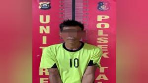 Mencuri-sawit-Pali.jpg