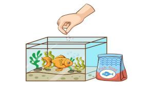 Modul-ajar-Prakrya-Budidaya-kelas-9-SMP-Unit-2-Pemeliharaan-Ikan-Sistem-Bioflok.jpg
