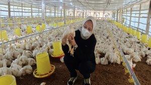 Olivia-Ekowati-Saputri-pengusaha-muda-ayam-potong.jpg