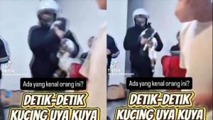 PENCURI-KUCING-UYA-KUYA-3.jpg