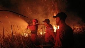Padamkan-Kebakaran-di-Sungai-Rambutan.jpg