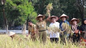 Panen-Padi-2.jpgPanen-Jagung-2.jpgKolam-Padi-Apung-2.jpgSampaikan-Sambutan-2.jpgadvdishut.jpg