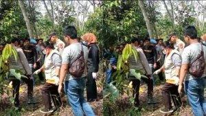 Penemuan-kerangka-manusia-di-Desa-Karang-Agung-PALI-1.jpg