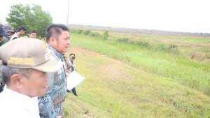 Proyek-Cetak-Sawah.jpg