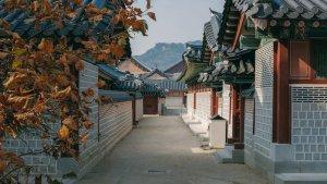Salah-satu-jalan-kecil-di-dalam-komplek-Istana-Gyeongbokgung-di-Seoul-Korea-Selatan.jpg