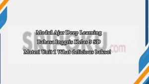 Unit-1-What-delicious-bakso.jpg