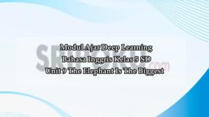 Unit-9-The-elephant-is-the-biggest.jpg