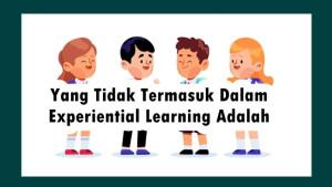 Yang-Tidak-Termasuk-Dalam-Experiential-Learning-Adalah.jpg