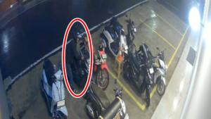 bandit-curanmor-trikora.jpg