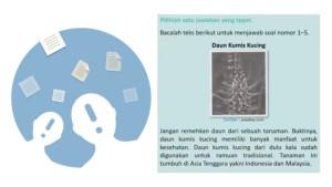 gambar-10-soal-Bahasa-Indonesia-observasi.jpg