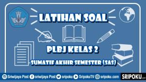 gambar-25-soal-PLBJ-SAS.jpg