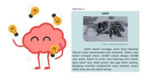 gambar-4-soal-AKM-Bahasa-Indonesia.jpg