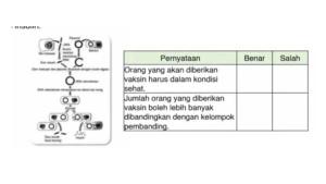 gambar-soal-IPA-Virus-dan-Peranannya.jpg