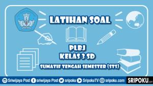 gambar-soal-STS-PLBJ-kelas-3-SD.jpg