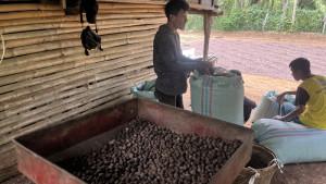 kopi-empatlawang-41.jpg