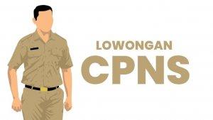 lowongan-cpns-palembang.jpg