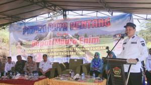 panen-kentang.jpg