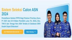 portal-resmi-cpns-2025.jpg