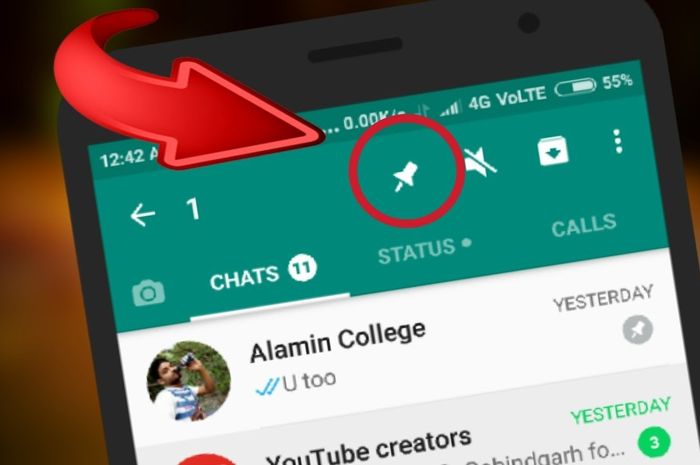 4 Fitur Canggih Whatsapp yang Sangat Berguna Tapi Jarang Dimanfaatkan, Bisa Abadikan Chat Penting!